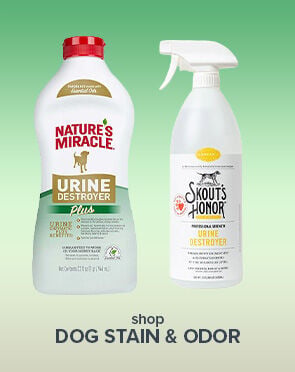 Dog Stain & Odor